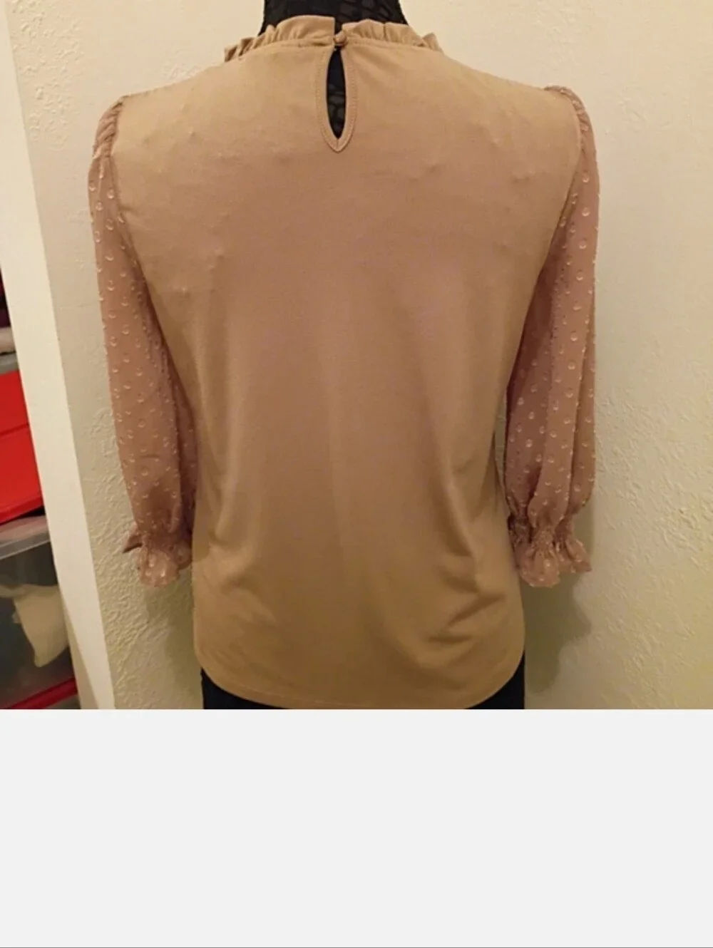 Adrianna Papell Tan Blouse with Sheer Sleeves - Picture 2 of 7